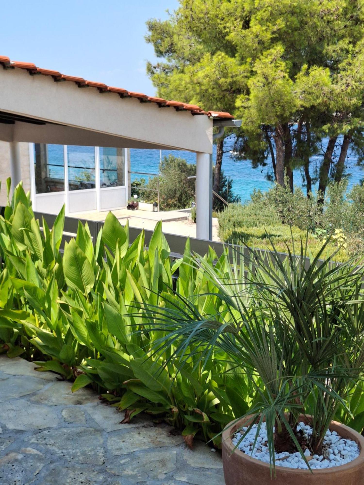 Villa Gjardini - Sparadici Grebaštica Esterno foto